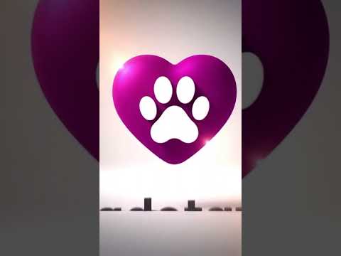 Vídeo de Neguinho