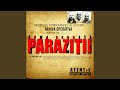 Arma Secretă by Paraziții — album cover