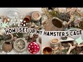 How I Set Up My Hamster’s Enclosure! 🐹🌸