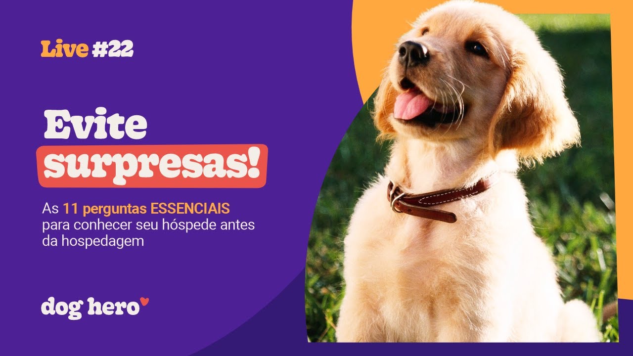Evite surpresas! As 11 perguntas ESSENCIAIS para conhecer seu hóspede antes da hospedagem | #Live22