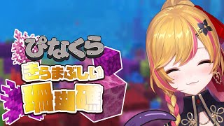 【Minecraft | 🌈 にじ鯖 】珊瑚礁を集めたい🪸【にじさんじ | セフィナ】