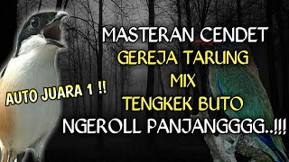 Download lagu Ngeriiii...!!masteran cendet gereja tarung sambung tengkek buto mp3