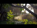 Silu Siluvendru Poongatru Rainy Status Tamil WhatsApp Status Hi5 Creation