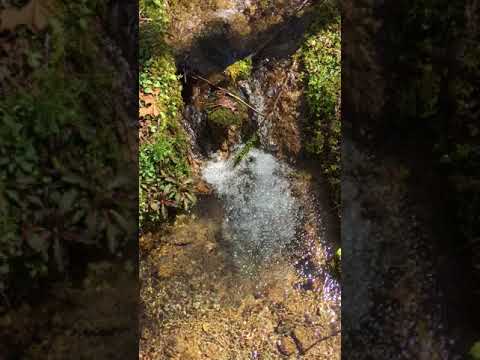 Water flows from a pond to a stream. 