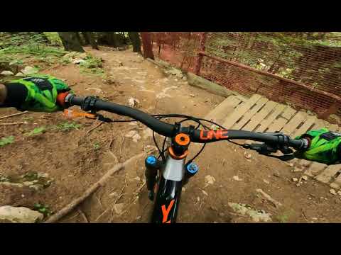 Downhill Happy Bear Sinaia bike resort