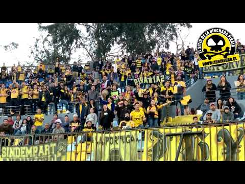 "Hinchada - Everton v/s Coquimbo Unido" Barra: Al Hueso Pirata &bull; Club: Coquimbo Unido