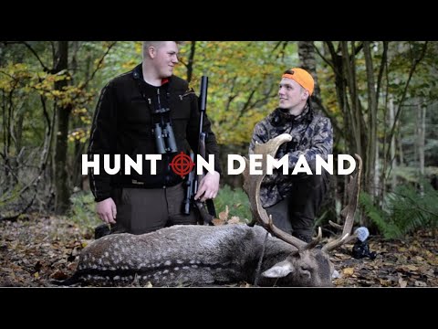 Schauflerjagd im Wilden Osten - Dreispross Hunt on Demand Trailer