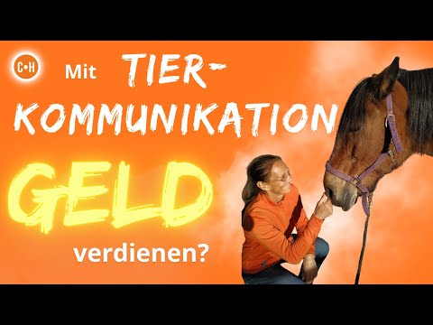Mit Tierkommunikation Geld verdienen?