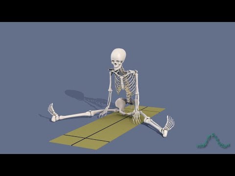 Yoga Poses: Upavistha Konasana part 1