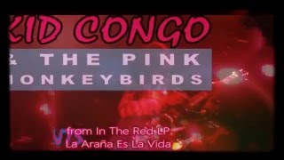 Kid Congo & Pink Monkey Birds- 5 Points (Instrumental Encore in SF)