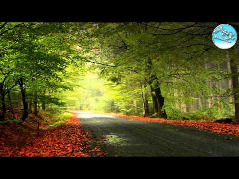 Fraţii de la Toflea - Nu te ingrijora