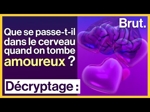 Que se passe-t-il dans le cerveau quand on tombe amoureux ?