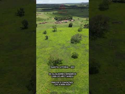 Fazenda bem localizada plana rica em água em Santa Vitória a venda