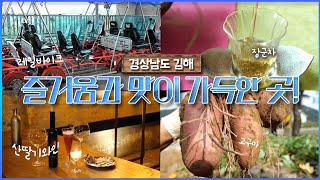 활력듬뿍! 김해를 즐기다 | 두근두근 경남 (KBS 2023.10.17, 화 방송)  KBS창원 구독자 66만명