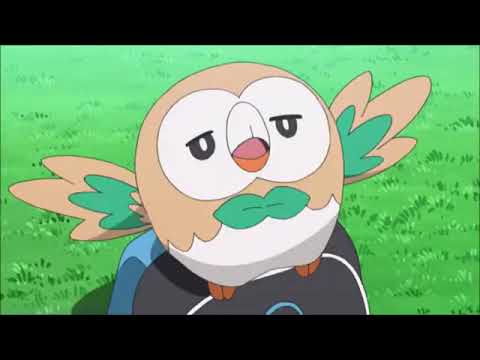 Anytime Rowlet Is Asleep