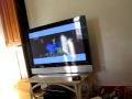 Wimzie S House They Re Bones