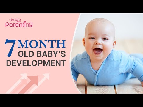 7 Months Old Baby's Development - What to Expect
