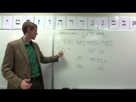 Weak Verbs: פ״נ - Part 1