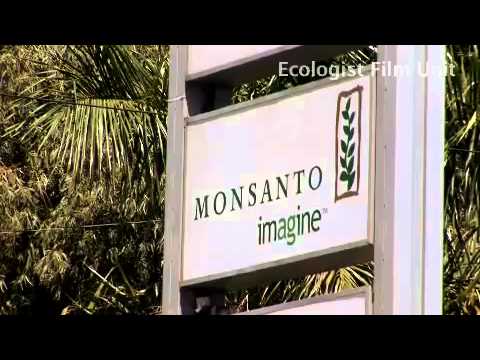 Polja smrti: prava cena Evropskog jeftinog mesa - prevod