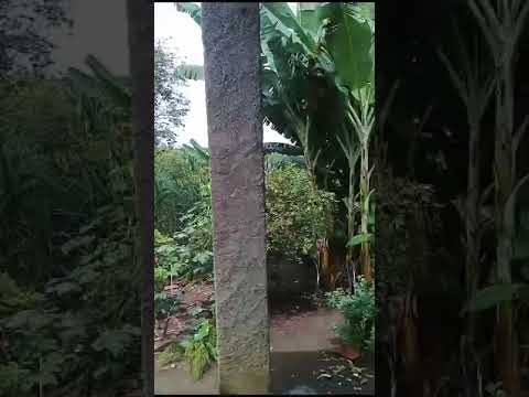 Chácara Para Venda em Senador Canedo, Goiás