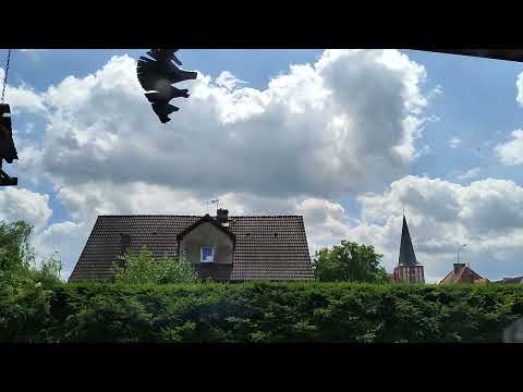 Timelapse Realme GT neo 2 5G