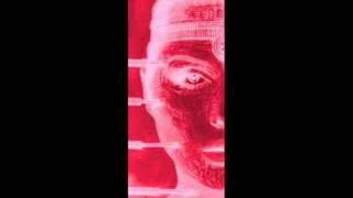 Debbie Harry  CHROME from the lp/ cd KOO KOO