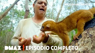 Thumbnail del capítulo