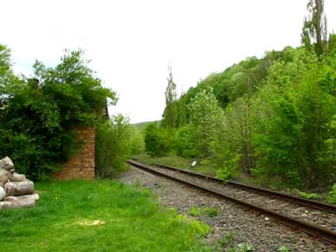 Via Terra Spedition tren PM Vascau - Holod