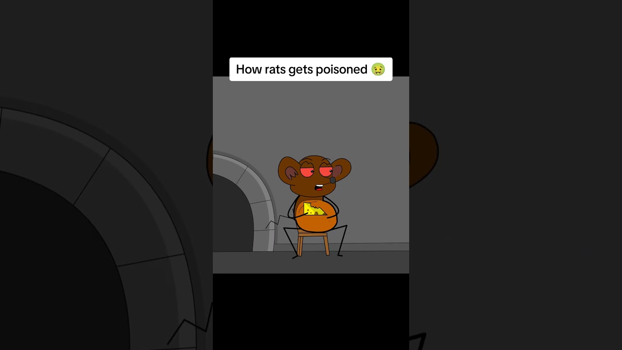 how rats get's poisoned 🤢 #animation #fyp #rats #viral #shorts