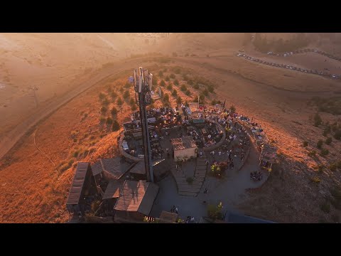 Dibo - Frozen Cherry 2025