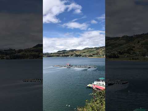 ¿Por qué todos se bajan aquí rumbo al Lago de Tota? #boyacá #lagunadetota #colombia #turismo