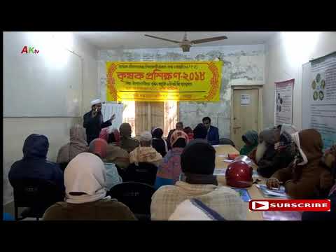 Agriculture: আদর্শ বীজতলায় সুস্থ সবল চারা, বীজের হার কম!