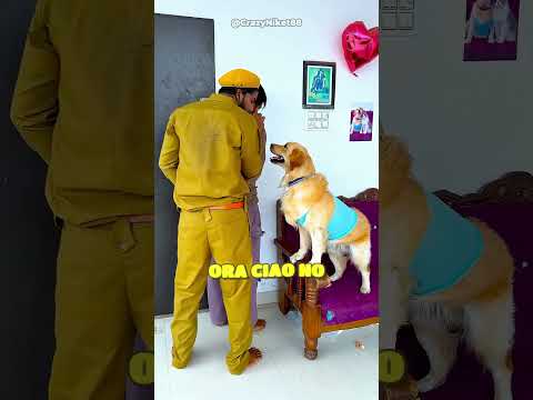 Il cane non vedeva l'ora di incontrare il suo migliore amico!
