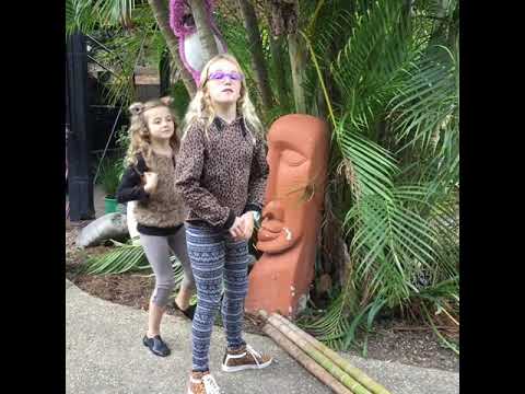 Passion Project Human Evolution