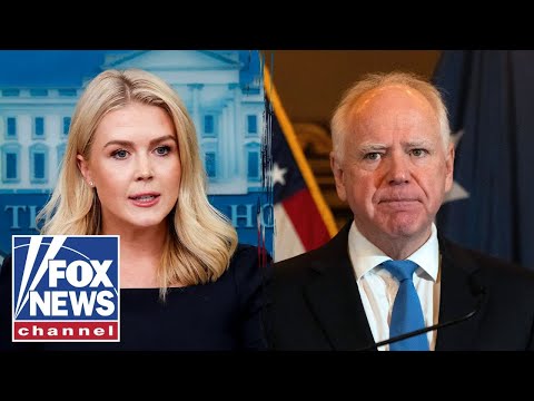 JUST IN: Leavitt REVEALS Trump's offer to Walz