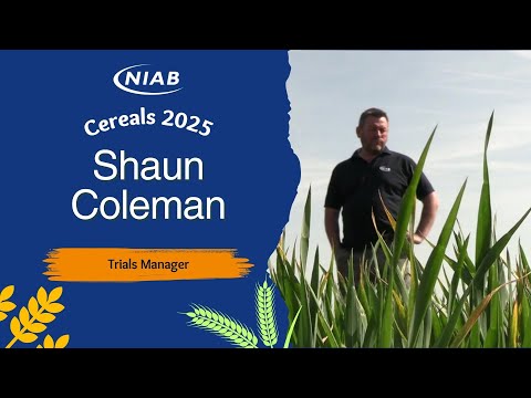 Cereals 2025: The challenges of preparing Niab's plots