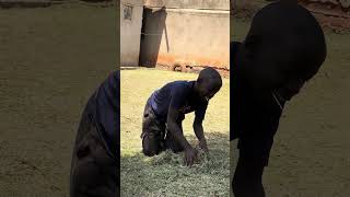 Download lagu Nebamugobaww mp3