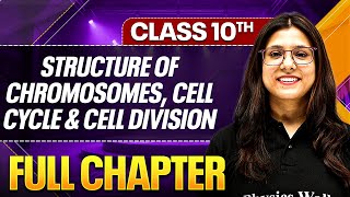 STRUCTURE OF CHROMOSOMES CELL CYCLE AND CELL DIVISION One Shot ( Theory + PYQs ) Class 10 ICSE Board