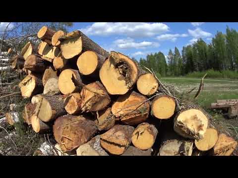 Antakeepa Jounille hyviä neuvoja, mitä näitten kans tehä!