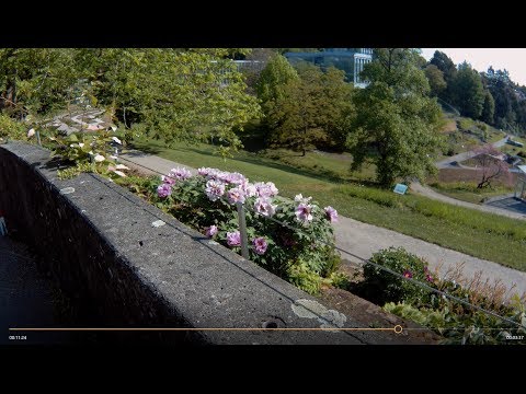 Neuer Botanischer Garten