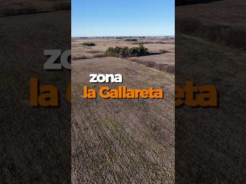 21ha Saladillo🐄 Ideal proyecto ganadero.USD 136.5K #campoargentino #Inversion #realestate #saladillo