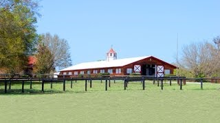 preview picture of video 'SOLD - NorthWind Stables - Ocala Florida'