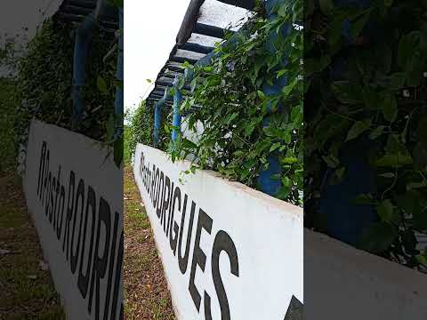 santA  Rita do pardo