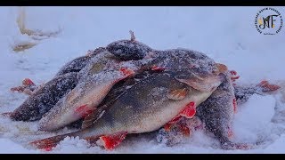 Рыбалка на озере ильмень новгородская область