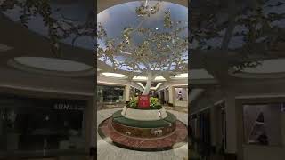 Paradise Nevada Tree Of Life
