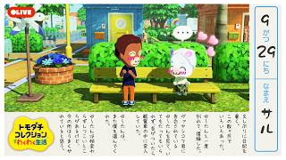 【生配信】#39｜夜のチーササコシティを偵察【トモダチコレクションわくわく生活】