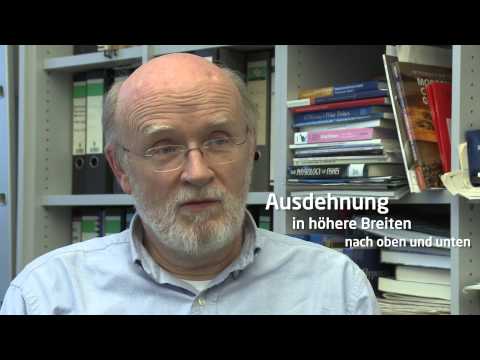 Schichtung des Ozeans