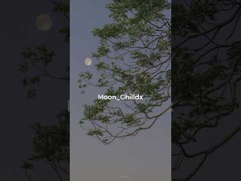 aesthetic username ideas ✨