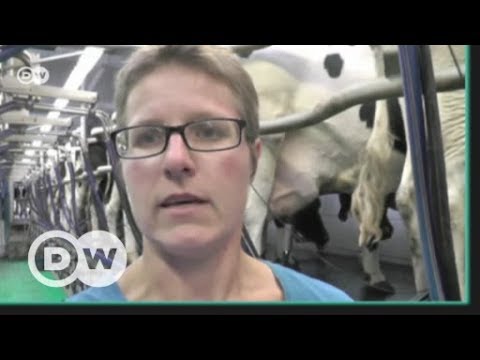 Farmyard or factory farms? | DW English