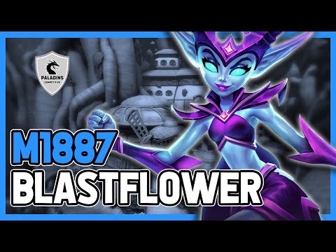 M1887 Willo Competitive (Master) BLASTFLOWER